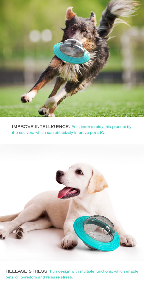 Interaktiver Leckerli-Ball für Hunde zum Auslaufen von Speisen für kleine und große Hunde. Verbessern Sie das IQ-Trainingsspielzeug. Dackel-Spielzeug für Welpen mit langsames Futter - Image 15