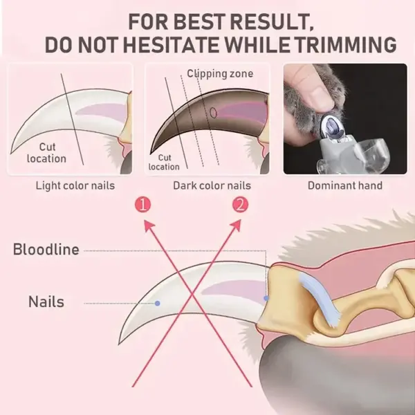 Professionelle Pet Nagel Clipper Schere Mit LED Licht Katze Hund Nagel Clippers Werkzeug Schere Nagel Toeclaw Cutter Schere Pet Suppl - Image 14