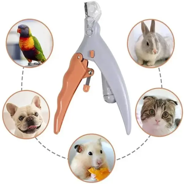 Professionelle Pet Nagel Clipper Schere Mit LED Licht Katze Hund Nagel Clippers Werkzeug Schere Nagel Toeclaw Cutter Schere Pet Suppl - Image 9