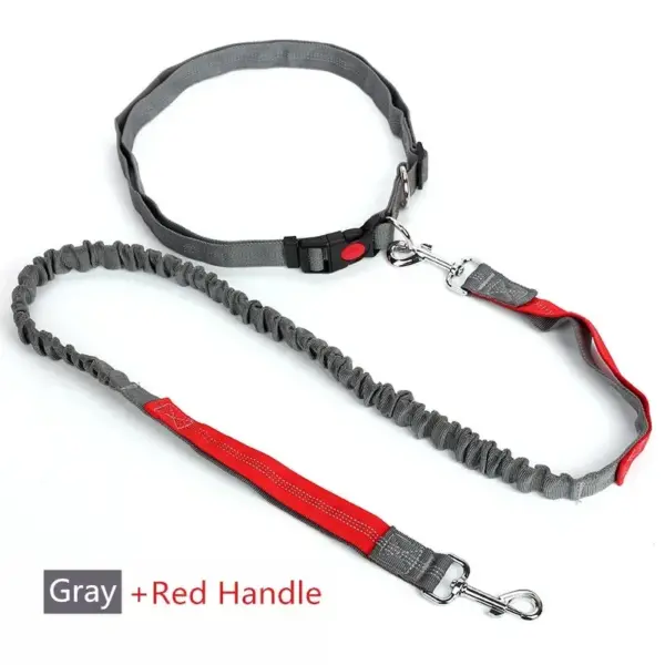 Retractable Dog Leash with Adjustable Waist Rope Hand Free Running Jogging Cycling Big Dogs Pet Elasticity Lead Pet Supplies - Image 8