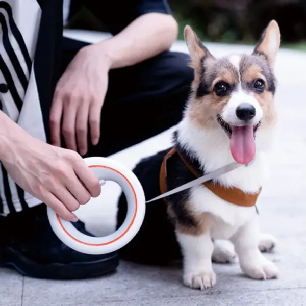 Moestar UFO Retractable Leash 2 Lite Metal Buckle Anti-Slip Handle One-handed Brake Pause Lock Leash for Small & Medium Size Dog - Image 4