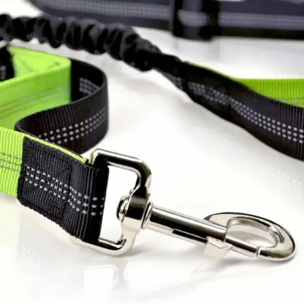 Retractable Dog Leash with Adjustable Waist Rope Hand Free Running Jogging Cycling Big Dogs Pet Elasticity Lead Pet Supplies - Image 5