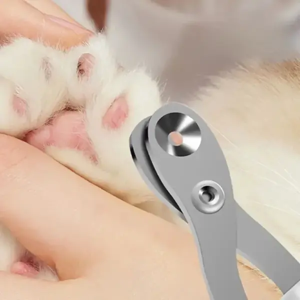 Haustier-Nagelknipser aus Edelstahl für Hunde und Katzen, kleine Tier-Nagelknipser für Katzen - Image 2