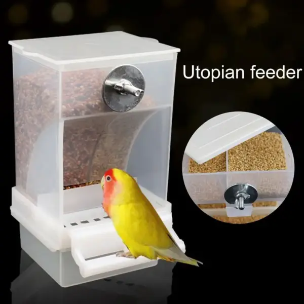 Automatic Parrot Feeder for Small Birds, PP, Convenient, Spacious, No Mess, Anti-Splash - Image 2