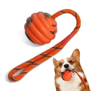 Hunde ball Spielzeug Hüpfburg Gummiball Kau spielzeug Haustier Hund Spielzeug ball mit Schnur interaktives Spielzeug für große Hund Welpen Spiele Spielzeug