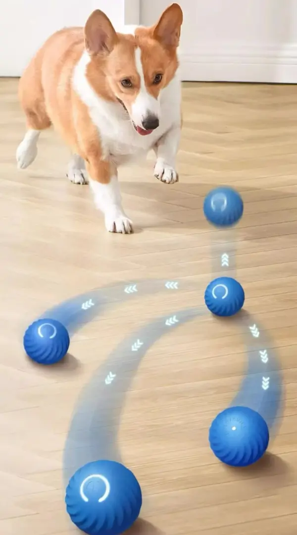 Haustier Spielzeug Ball Automatische Moving Hund Spielzeug Ball Smart USB Springen Rotierenden Interaktive Hund Kauen Spielzeug Ball für Welpen Ball Spielzeug - Image 10