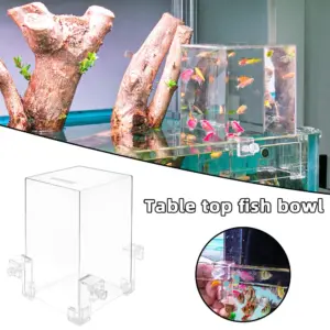 Aquarien Unterdruck Aquarium Klare Luft Aquarium Extender Ökologische Landschaftsbau Dekoration Aquarium Schüssel Isolierung