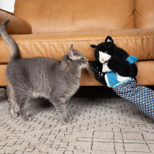Katzenpuppe, Wrestler, Katzen-Wrestling-Spielzeugpuppe, interaktive Handpuppe mit robuster Polsterung für sicheres Spielen, Katzen- und Hundespielzeug - Image 5