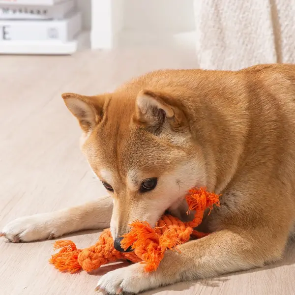 Hund Seil Spielzeug Cartoon Tier Hund Kauen Spielzeug für Kleine Große Hunde Katzen Molaren Reinigung Zähne Spielzeug Biss Widerstand Welpen Heimtierbedarf - Image 24