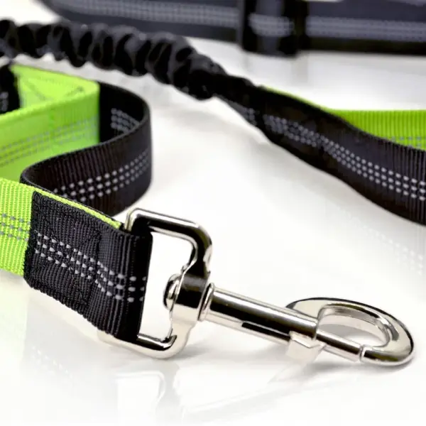 Retractable Dog Leash with Adjustable Waist Rope Hand Free Running Jogging Cycling Big Dogs Pet Elasticity Lead Pet Supplies - Image 15