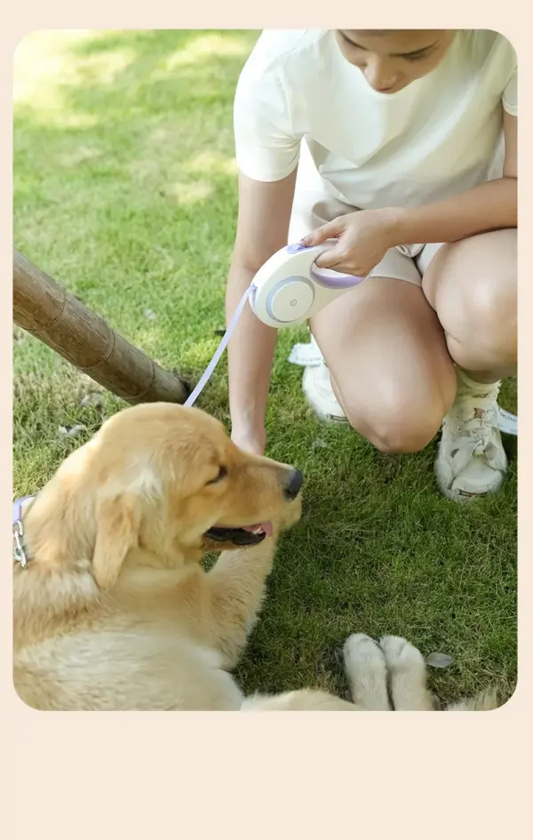 Automatic Retractable Dog Leash 5m LED Light Scalable Dog For Puppy Walking Running Outdoor Travel Hiking Traction Nylon Strap - Image 29