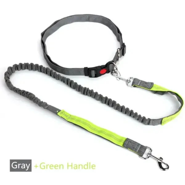 Retractable Dog Leash with Adjustable Waist Rope Hand Free Running Jogging Cycling Big Dogs Pet Elasticity Lead Pet Supplies - Image 10