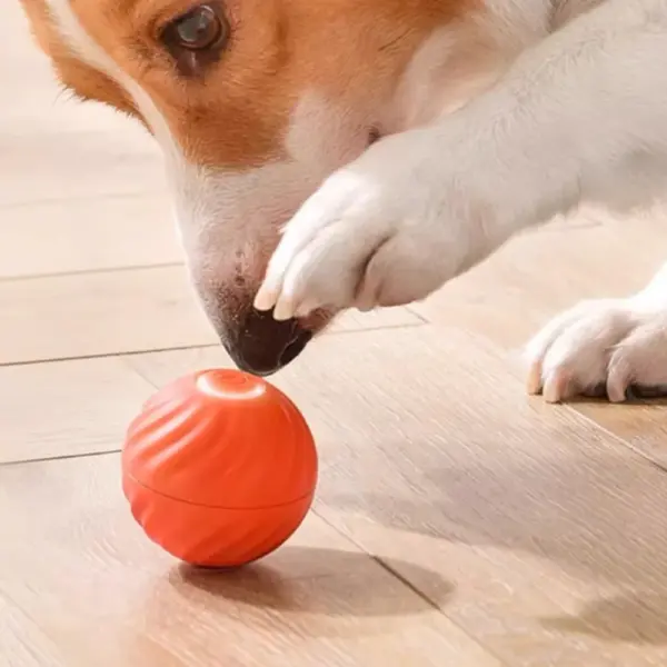 Haustier Spielzeug Ball Automatische Moving Hund Spielzeug Ball Smart USB Springen Rotierenden Interaktive Hund Kauen Spielzeug Ball für Welpen Ball Spielzeug - Image 13
