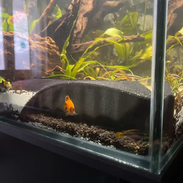 Aquarium gewölbte unterirdische Höhle für wasserförmige Haustiere bis zu Rassen, spielen und ruhen Aquarium-Ornamente - Image 19