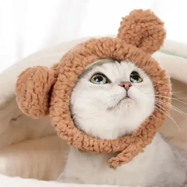Niedlichen Bären Kaninchen Kapuze Haustier Katze Hund Zubehör Cosplay Katze Hut Winter schöne Neujahr Welpen Kopf bedeckung weichen Samt Haustiere Lieferungen - Image 14