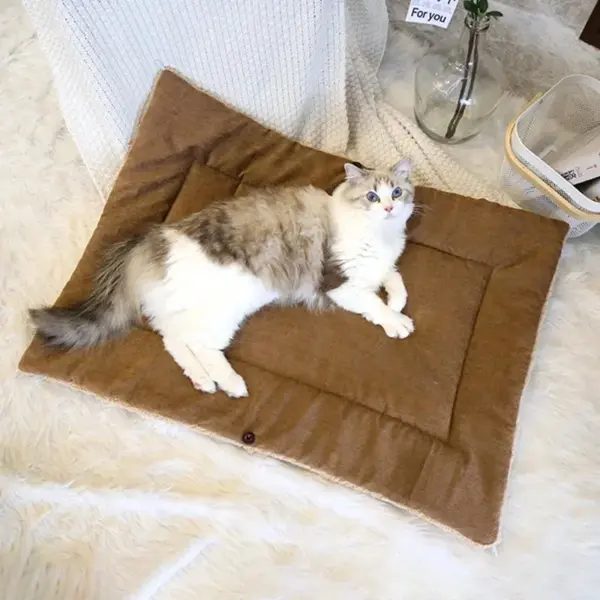 Katzen betten für den Winter warmes Zubehör Kätzchen häuser Hunde bett Korb matte Dinge Kissen Haus Welpen waren Haustier bedarf - Image 3
