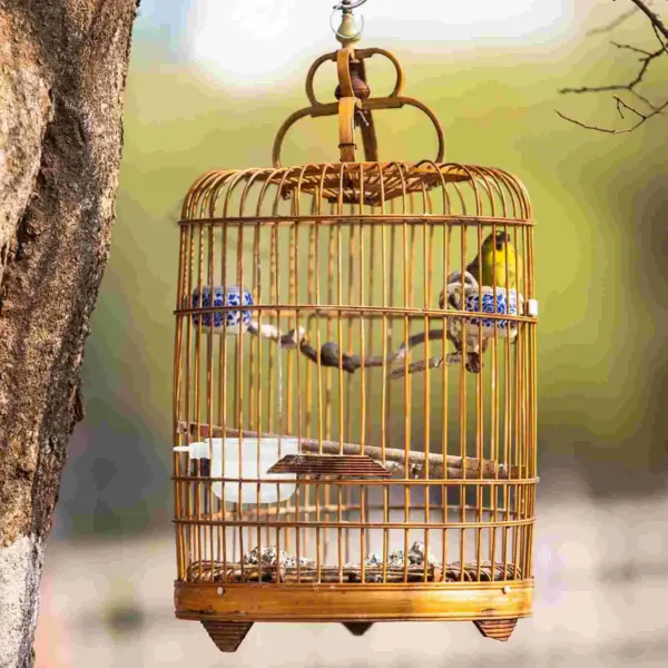 5 Pcs Bird Food Box Acrylic Cage Feeder Parrot Water Transparent Multi Function Household Bowl Safe Material Small Birds Pet - Image 2