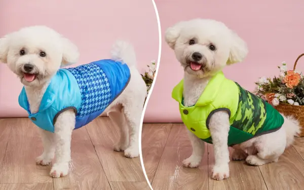 Winter Pet Coat Clothes for Dogs Winter Clothing Warm Dog Clothes for Small Dogs Christmas Big Dog Coat Winter Clothes Chihuahua - Image 34