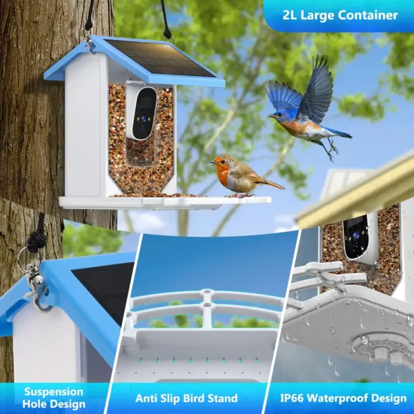 Bird Smart Feeder with Camera 2.4K Solar Low Power Night Vision IP66 Waterproof WIFI of 4G Connect Real Bird Species Feeder - Image 10