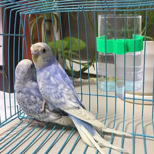 Automatic Bird Water Dispenser Bird Drinking Feeder Transparent Bird Cage Water Fountain for Budgie Cockatiel Lovebird Canary - Image 4