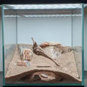 Aquarium gewölbte unterirdische Höhle für wasserförmige Haustiere bis zu Rassen, spielen und ruhen Aquarium-Ornamente