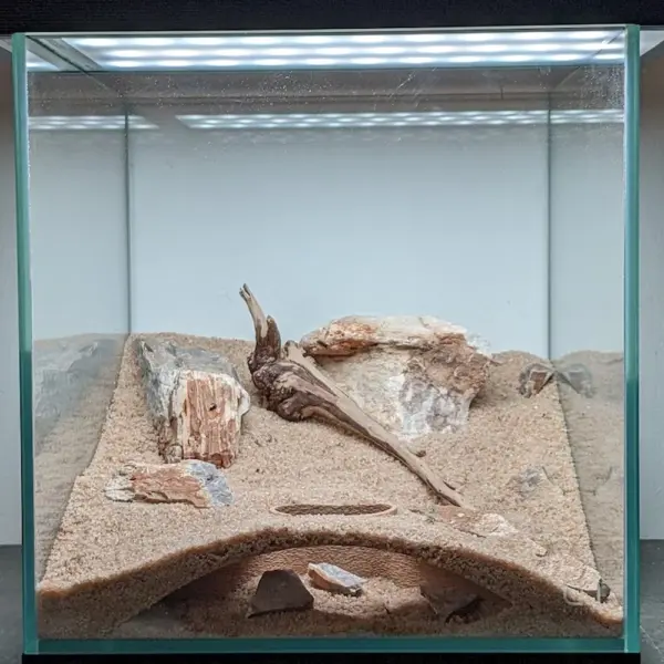 Aquarium gewölbte unterirdische Höhle für wasserförmige Haustiere bis zu Rassen, spielen und ruhen Aquarium-Ornamente