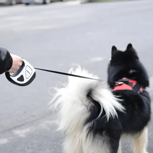 5M Long LED Big Dog Leash Automatic Retratable Pet Leashes for Small Medium Large Dogs Alaska Doberman mascotas Dog Accessories - Image 19