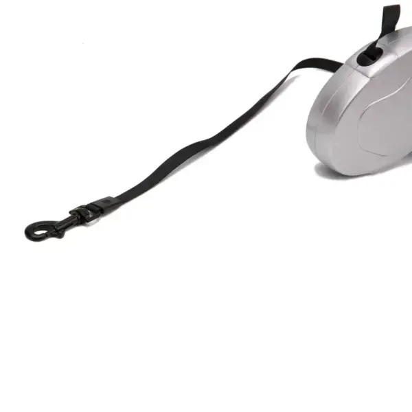 Retractable Dog Leash 5M Dog Walking Leash For Small Medium Dogs Durable Pet Training Walking Collar Leashes 3M Gold Silver - Image 5