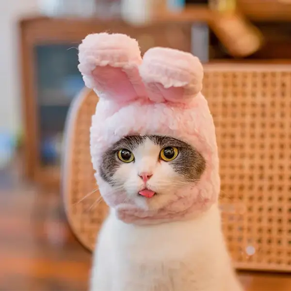 Niedlichen Bären Kaninchen Kapuze Haustier Katze Hund Zubehör Cosplay Katze Hut Winter schöne Neujahr Welpen Kopf bedeckung weichen Samt Haustiere Lieferungen - Image 3