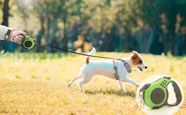 3m/5m Retractable Dog Leash Automatic Telescopic Tractor Dog Rope Flexible Nylon  Leash Traction Puppy Cats Dogs Pet Supplies - Image 14