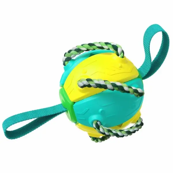 Hund Fußball Interaktives Spielzeug Auto Erweitern Training Spielzeug Outdoor Frisbee Haustier Spielzeug Hund Training Tools - Image 10