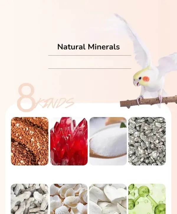 450ML High Calcium Mineralized Health Grit for Birds  High Mineral Content - Image 8