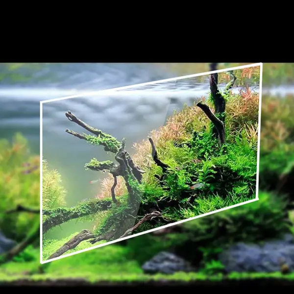 Desktop Aquarium Mini Seite Filter Verschönerung Acryl Ökologische Kleine Kreative Büro Aquarium Micro Aquarium Fishbowl - Image 16