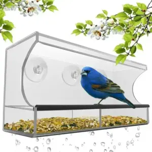 Practical Bird Feeder Transparent Food Dispenser House Outdoor Window Birdfeeder Water for Finches Chickadees