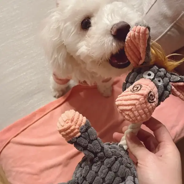 Hund klingendes Spielzeug Backenzahn Training dekomprimieren interaktive biss feste Esel Form Plüschtiere Haustier zubehör - Image 2