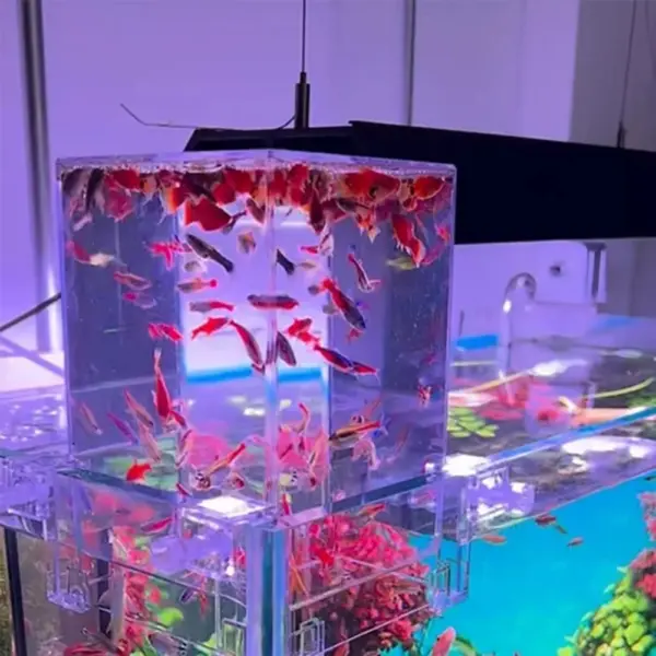 Aquarien Unterdruck Aquarium Klare Luft Aquarium Extender Ökologische Landschaftsbau Dekoration Aquarium Schüssel Isolierung - Image 3