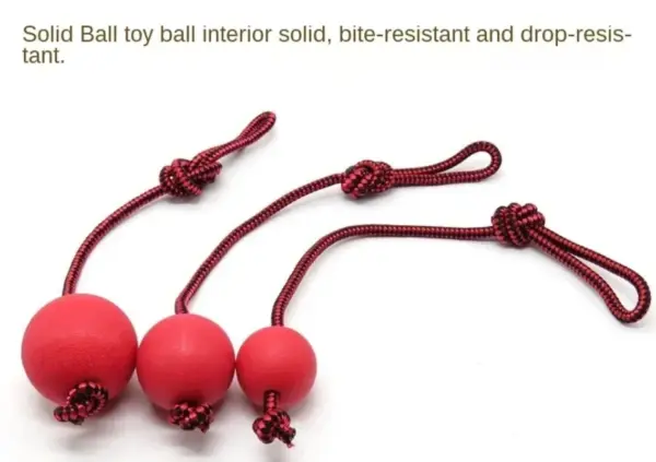 Hundes pielzeug für große Hunde Spielzeug Gummi Backenzähne Biss zug solide biss feste elastische ungiftige geruchlose Haustier Ball Spielzeug - Image 5