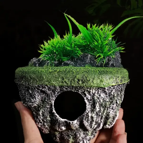 E15D Aquariums Handicrafts Hallowed Beach Crafts Decorations Fish Tanks Supplies Sea Art Crafts Decorations Fish Toy - Image 11