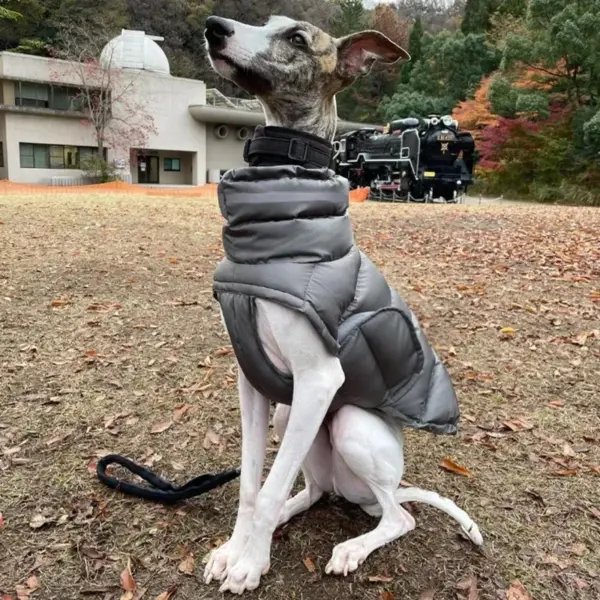 Pet Dog Winter Warm Coat Clothes Down Jacket Waterproof Fleece Vest Thicken Coat Clothing for Dogs Puppy Cats Pet costume - Image 15