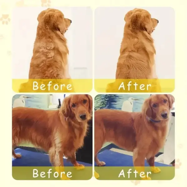 Steamy Dog Brush Electric Spray Cat Hair Brush 3 In1 Dog Steamer Brush for Massage Pet Grooming Removing Tangled and Loose Hair - Image 3