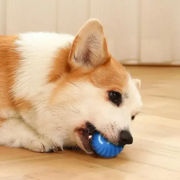 Haustier Spielzeug Ball Automatische Moving Hund Spielzeug Ball Smart USB Springen Rotierenden Interaktive Hund Kauen Spielzeug Ball für Welpen Ball Spielzeug - Image 4