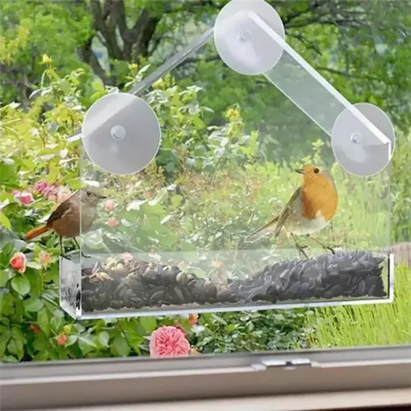 Practical Bird Feeder Transparent Food Dispenser House Outdoor Window Birdfeeder Water for Finches Chickadees - Image 3