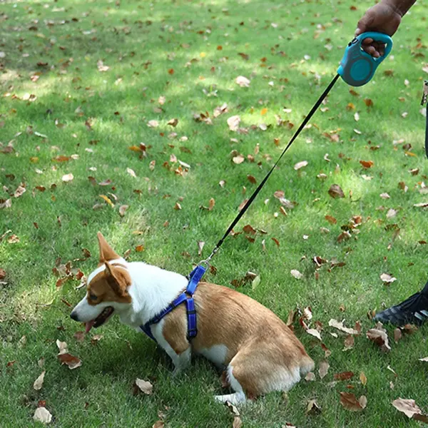 3 Meters 5 Meters Retractable Dog Leash Pet Leash Traction Rope Belt Automatic Flexible Leash For Small Medium Large Dog Product - Image 17