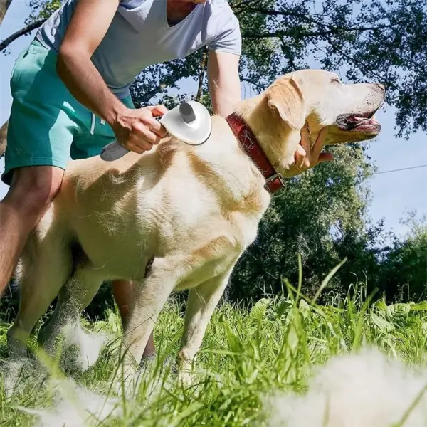 Haustier Hund Pinsel Katze Kamm Selbst Reinigung Pet Haar Entferner Bürste Für Hunde Katzen Pflege Werkzeuge Haustiere Dematting Kamm Hunde zubehör - Image 14