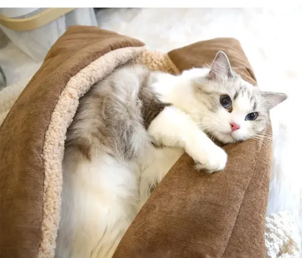 Katzen betten für den Winter warmes Zubehör Kätzchen häuser Hunde bett Korb matte Dinge Kissen Haus Welpen waren Haustier bedarf - Image 14