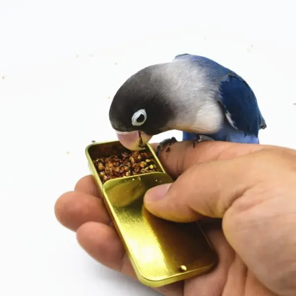 Bird Training Food Jar Parrot Handheld Feeder Bird Interactive Educational Toy Feeder Cup - Image 3
