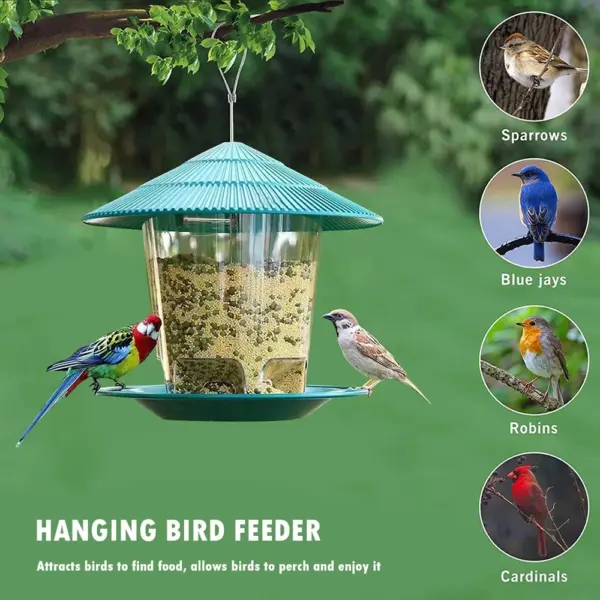 Bird Feeder For Outdoors Hanging Heavy Duty Weather Resistance Wild Bird Feeder Ideas For Bird Lovers Food Container With Rope - Image 5