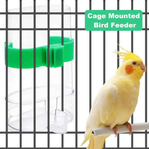 Automatic Bird Water Dispenser Bird Drinking Feeder Transparent Bird Cage Water Fountain for Budgie Cockatiel Lovebird Canary - Image 2