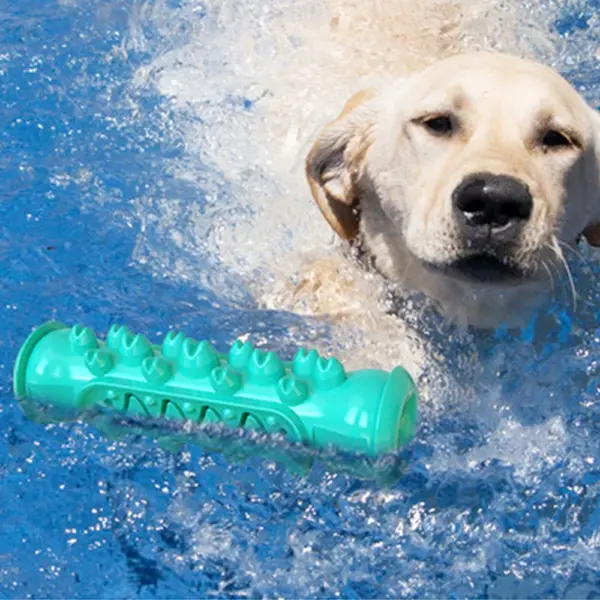Hund Wasser Schwimm Spielzeug Große Kleine Haustiere Hunde Kauen Gummi Spielzeug Im Freien Unzerstörbare interaktive Ausbildung Spielzeug Labrador Liefert