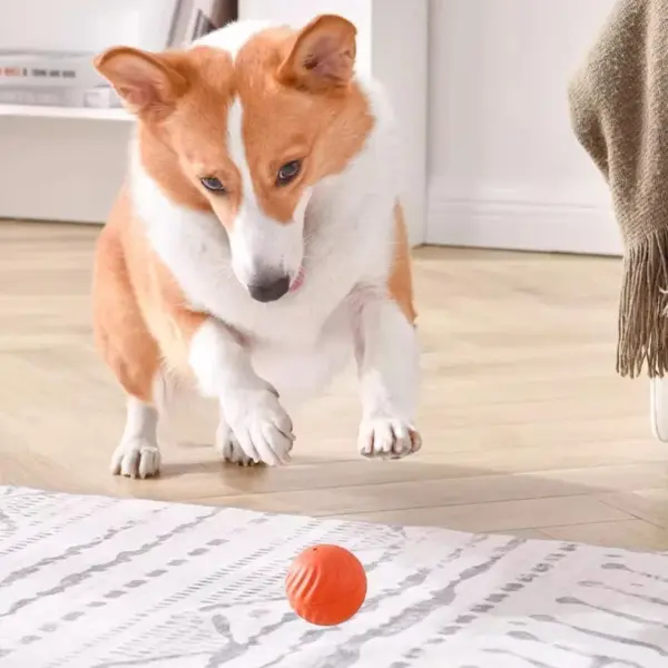 Haustier Spielzeug Ball Automatische Moving Hund Spielzeug Ball Smart USB Springen Rotierenden Interaktive Hund Kauen Spielzeug Ball für Welpen Ball Spielzeug - Image 5